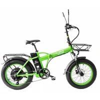 Электровелосипед Elbike Taiga 2 Elite зеленый